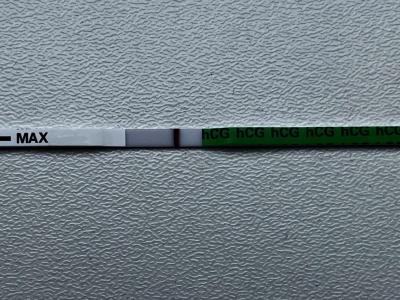 Testování a těhotenský test | Snažilky 2025
