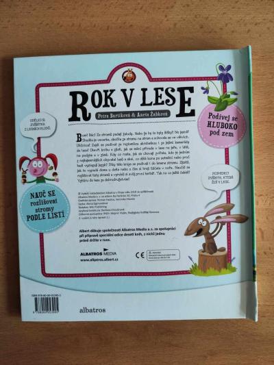 Kniha Rok v lese