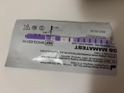 Testování a těhotenský test | Těhotenství ano?