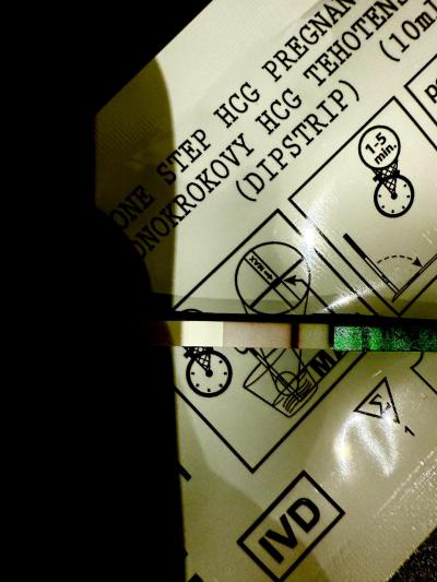 Testování a těhotenský test | Vidíte ducha nebo jsem jenom paranoidní?
