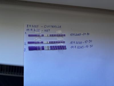 Testování a těhotenský test | Falešná nebo duch?