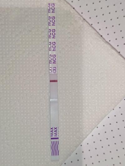 Testování a těhotenský test | Snažilky 2025