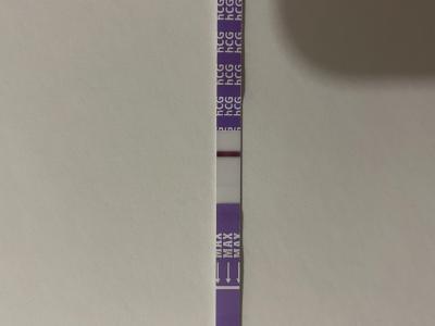 Testování a těhotenský test | Dušík nebo Ryska?