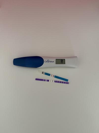 Těhotenství | Znovu těhotná. Voda v děloze? Jak je to s rodičákem a mateřskou?
