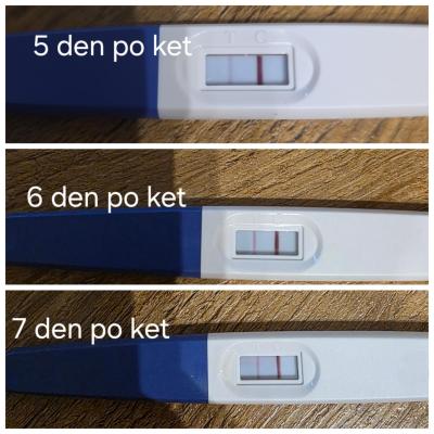Centra asistované reprodukce | IVF/KET 2025