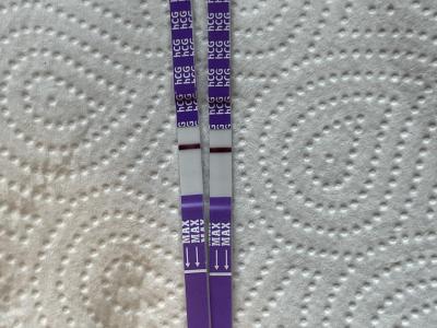 Testování a těhotenský test | Je to jen ryska?
