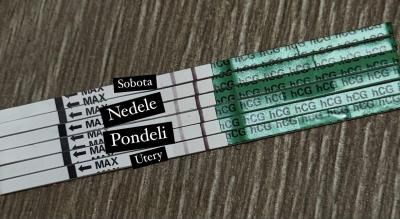 Testování a těhotenský test | Tt nesili?