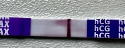 Testování a těhotenský test | Snažilky 2025