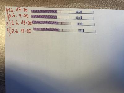 Testování a těhotenský test | Ovulační testy a možnost těhotenství