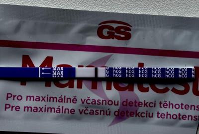 Testování a těhotenský test | Foto: Duch? Ryska? – 12dpo