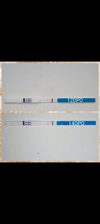 Testování a těhotenský test | Myslíte, že čárka dostatečně sílí?