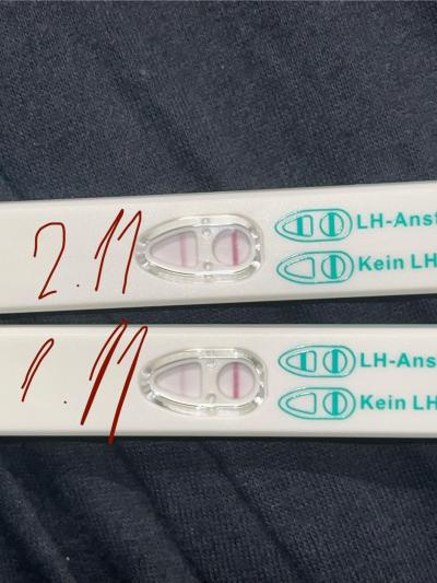 Testování a těhotenský test | Silici ovu test 2 dny pred ms?