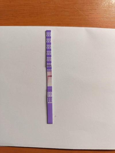Testování a těhotenský test | Snažilky 2025