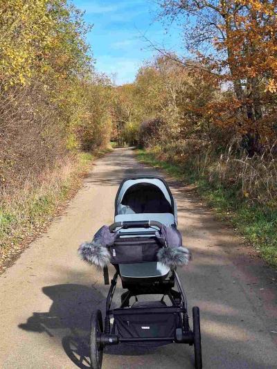 Čtyřkolky | Thule Urban Glide 4
