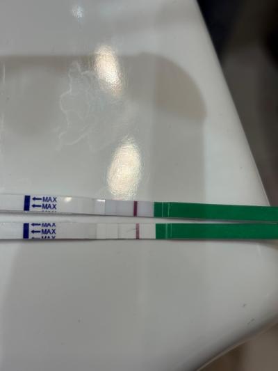 Snažení | Ovulační test 2 dny před ms