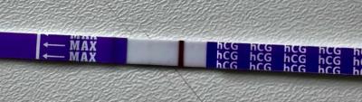 Testování a těhotenský test | Snažilky 2025