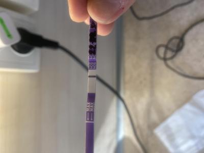 Testování a těhotenský test | Těhotenství - slabý duch na testu