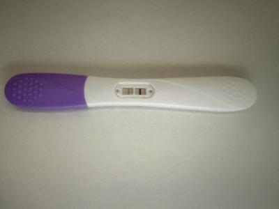 Těhotenství | Těhu test v den ms pozitivní