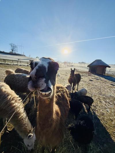 Jednodenní výlety a restaurace | Farmapark Soběhrdy