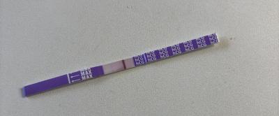 Testování a těhotenský test | Falešná nebo duch?