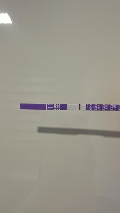 Testování a těhotenský test | Snažilky 2025
