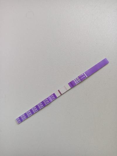 Testování a těhotenský test | Jen duch 3 dny po ms