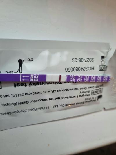 Testování a těhotenský test | Duch nebo slabá čárka