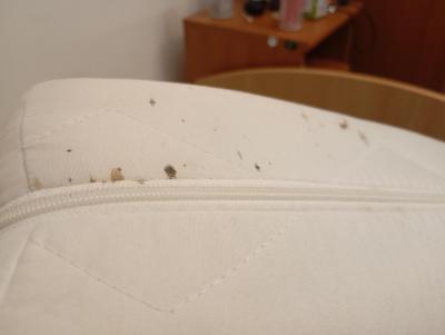 Zdravotní potíže dospělých | Štěnice, nebo blecha?