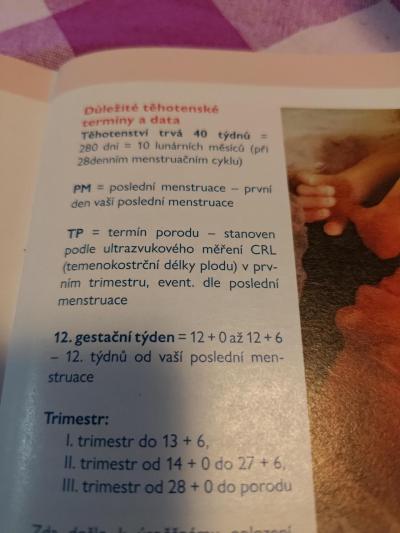Těhotenství | Týden těhotenství