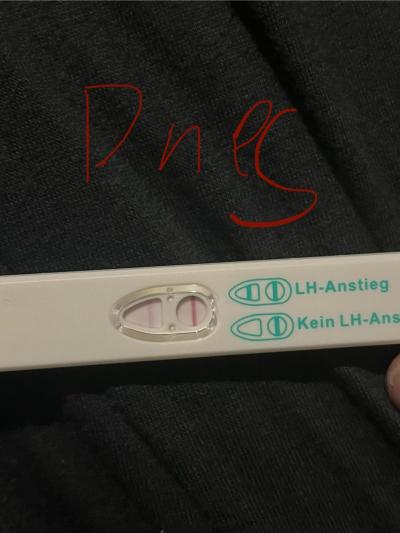 Testování a těhotenský test | Silici ovu test 2 dny pred ms?