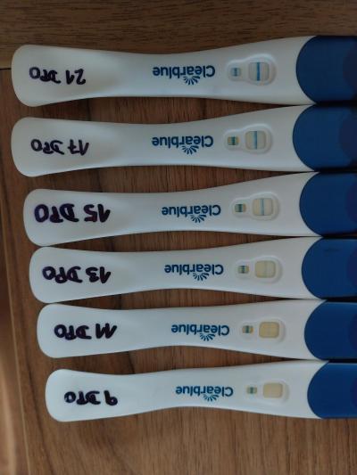 Centra asistované reprodukce | První IVF start listopad 2024