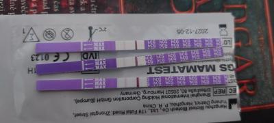 Testování a těhotenský test | Jedná se o prosperující těhotenství?