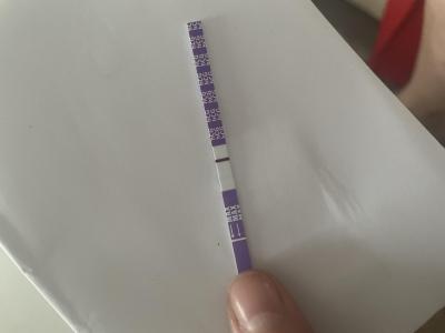 Testování a těhotenský test | Testy po KET 9 den