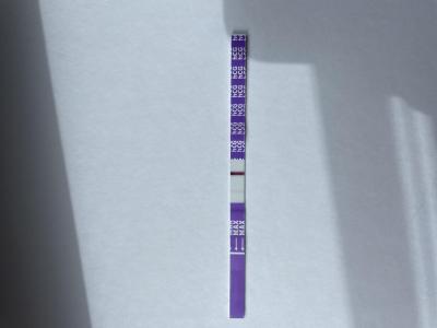 Testování a těhotenský test | Dušík nebo Ryska?