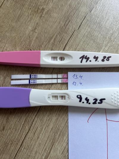 Testování a těhotenský test | KET DUBEN 2025