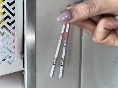 Testování a těhotenský test | Ovulace: prosím o radu, výsledky ovulačních testů