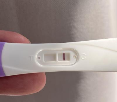 Testování a těhotenský test | Snažilky 2025