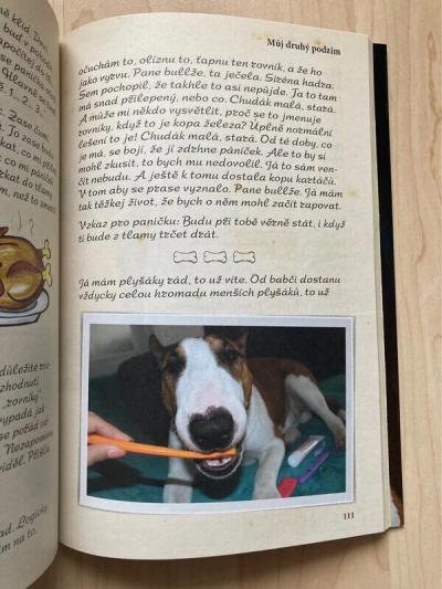 Knížka Ze života Bulíka - Romana Skálová