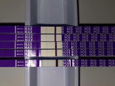 Testování a těhotenský test | Mamatest 2025