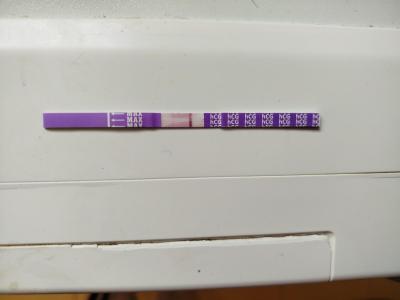 Testování a těhotenský test | Test 7dpo nebo 6dpo
