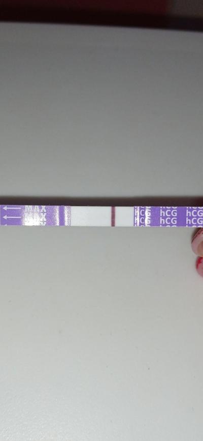 Testování a těhotenský test | 8 den zpoždění