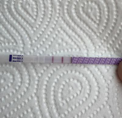 Testování a těhotenský test | Kdo se snaží o 3 miminko?