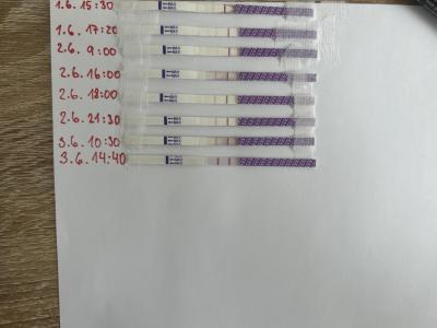 Testování a těhotenský test | Ovulační testy a možnost těhotenství