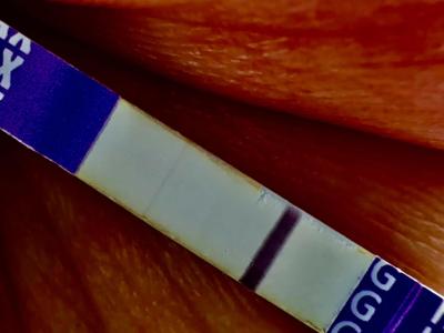 Testování a těhotenský test | Snažilky 2025