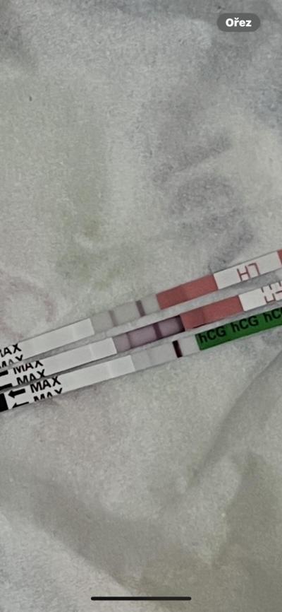 Testování a těhotenský test | Duch na TT v období ovulace