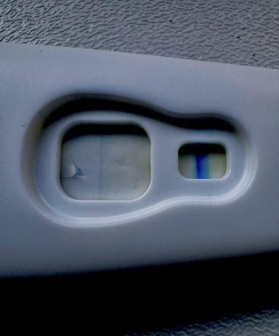 Testování a těhotenský test | Snažilky 2025