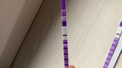 Těhotenství | Je tento těhotenský test pozitivní?