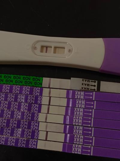 Testování a těhotenský test | Stále pozitivní Mamatest, ostatní TT negativní
