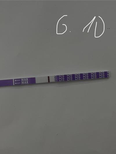 Testování a těhotenský test | Snažilky 2025