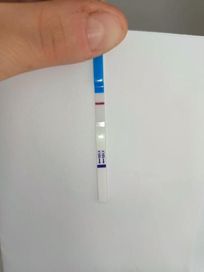 Testování a těhotenský test | Snažilky 2025